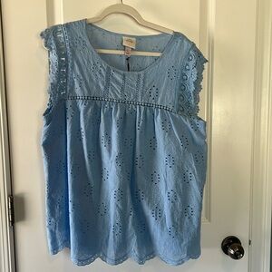 Adorable light blue top with lace, and Swiss dot  detail